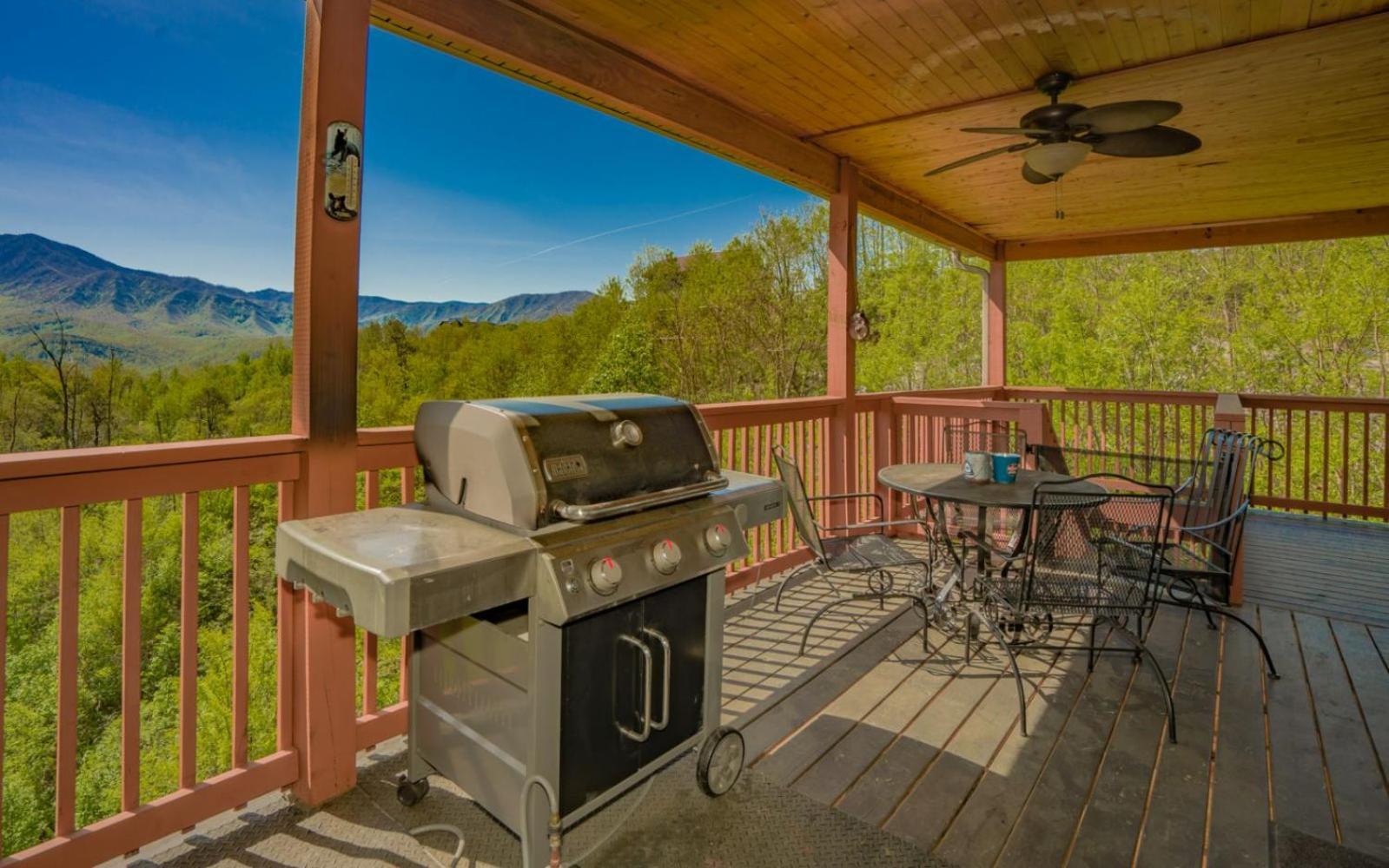 Beartastic Mountain View Lodge Gatlinburg Exteriör bild